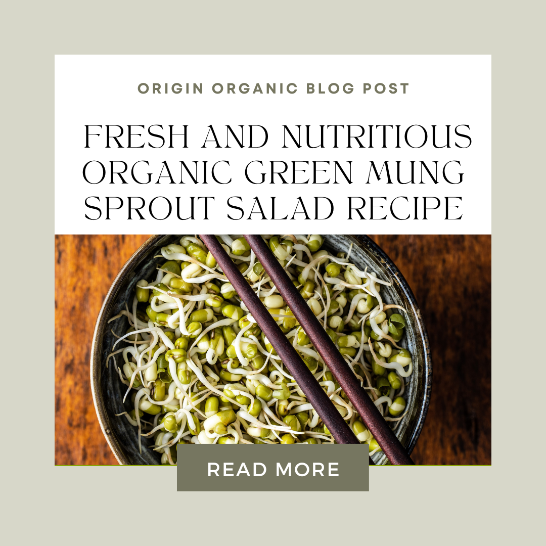 Fresh and Nutritious Origin Organic Green Mung Sprout Salad Recipe