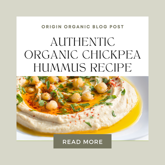 Authentic organic chickpea hummus recipe