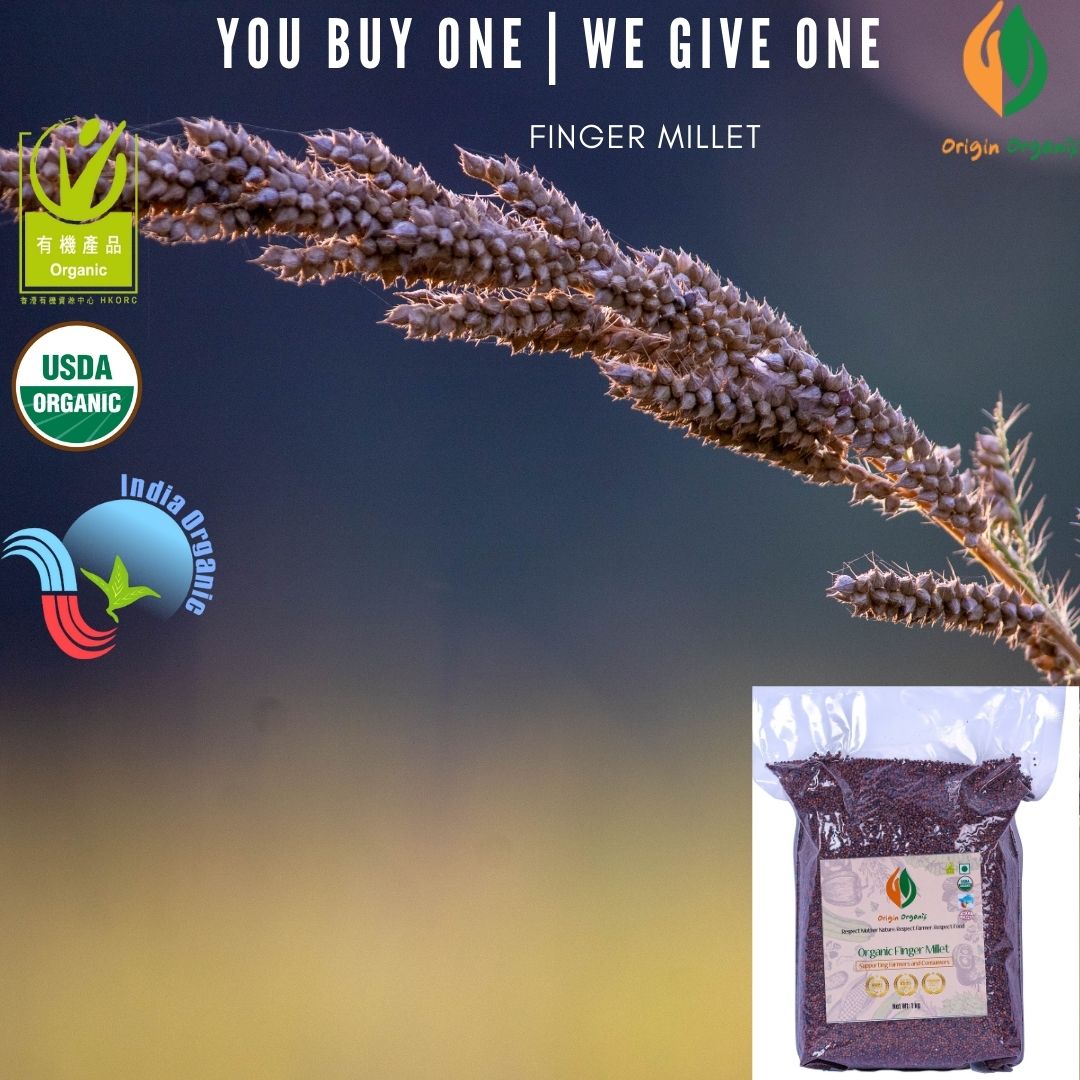 230090 Organic Ragi