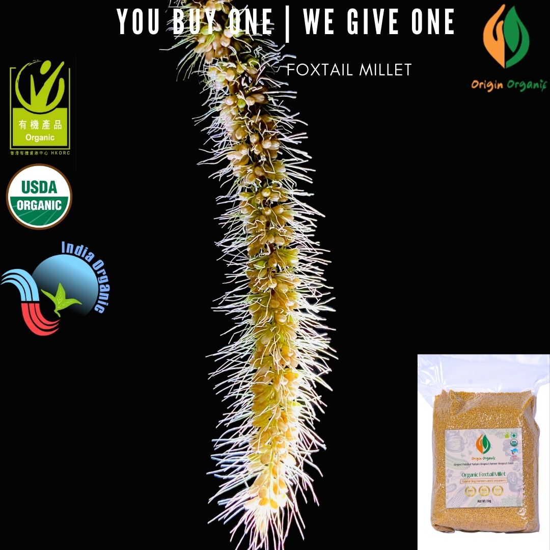 230106 Organic Foxtail Millet